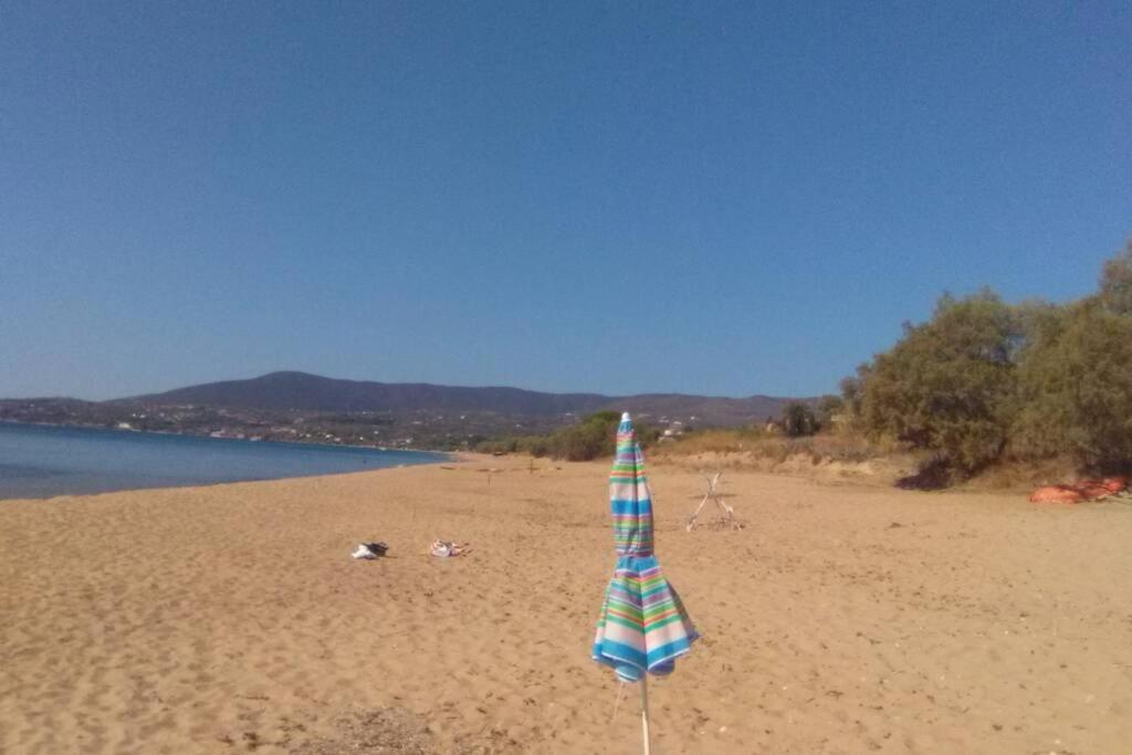 Über den Dächern von Koroni Exterior foto